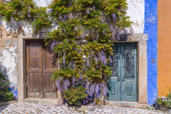 Europa Portugal Obidos Viñas Florecientes Glicinia Edificio Portugal — Foto de Stock