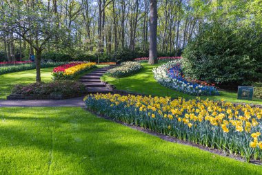 Avrupa, Hollanda, Güney Hollanda, Lisse. 26 Nisan 2022. Keukenhof Bahçeleri 'nde nergis ve laleler.