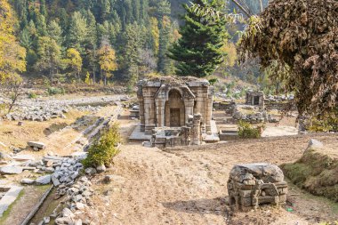 Naranag, Kangan, Jammu ve Kashmir, Hindistan. Jammu ve Kashmir 'deki Naranag Tapınakları arkeolojik alanı..