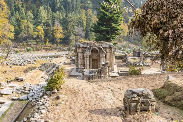 Наранага Канган Джамму Кашмір Індія Археологічні Пам Ятки Храмів Нараяна — стокове фото