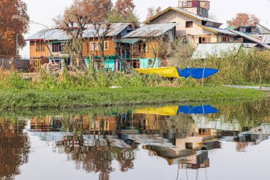 Srinagar, Jammu ve Kashmir, Hindistan. Dal Gölü kıyısındaki evler.