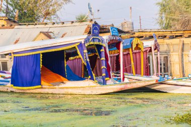 Rainawari, Srinagar, Jammu ve Kashmir, Hindistan. 24 Ekim 2022. Dal Gölü 'nde geleneksel Shikara turist tekneleri.