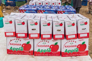 Raiyar Beruwa, Khansahib Tehsil, Jammu ve Kaşmir, Hindistan. 31 Ekim 2022. Jammu ve Kashmir 'de taze toplanmış elma kutuları.