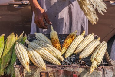 Cairo, Egypt, Africa. Street vendor roasting corn on the cob. clipart