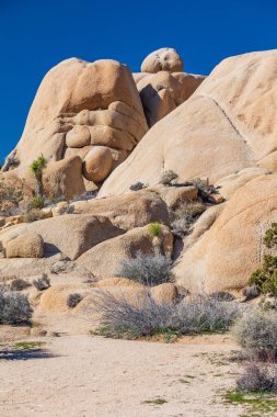 Joshua Tree Ulusal Parkı, Kaliforniya, ABD. Joshua Tree Ulusal Parkı 'nda kaya oluşumları.