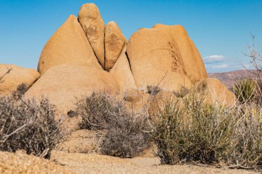 Joshua Tree Ulusal Parkı, Kaliforniya, ABD. Joshua Tree Ulusal Parkı 'nda kaya oluşumları.