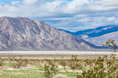 Borrego Springs, Kaliforniya, ABD. Kaliforniya çölündeki yüksek dağ vadisi.