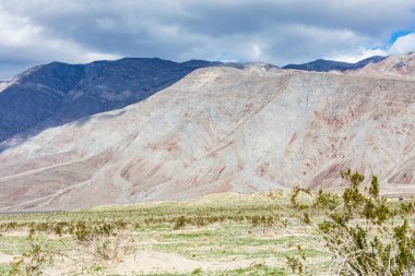 Borrego Springs, Kaliforniya, ABD. Kaliforniya çölündeki yüksek dağ vadisi.