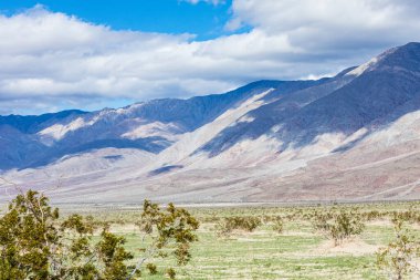 Borrego Springs, Kaliforniya, ABD. Kaliforniya çölündeki yüksek dağ vadisi.
