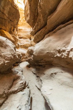 Borrego Springs, Kaliforniya, ABD. Kaliforniya çölündeki Slot Kanyonu.