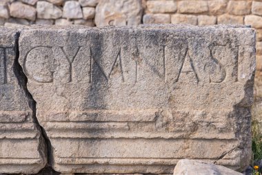 Dougga, Beja, Tunus. Dougga 'nın Roma harabelerindeki spor salonunda kazınmış taşlar..