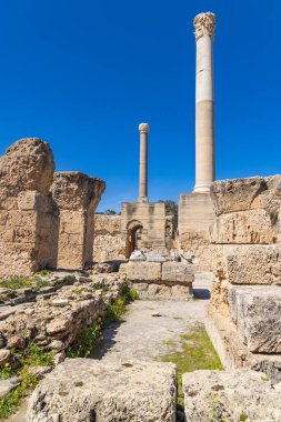 Antoninus, Kartaca, Tunus, Tunus hamamı. Kartaca 'daki Antoninus Hamamlarının Roma harabeleri.