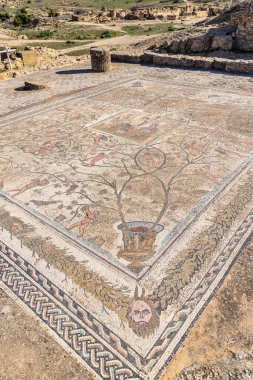 Uthina, Ben Arous, Tunus. Uthina arkeolojik satir ve üzüm asmalarıyla Roma mozaik zemininde.