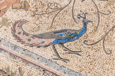 Uthina, Ben Arous, Tunus. Uthina arkeolojik sahasında mavi tavus kuşu olan Roma mozaik tabanı.