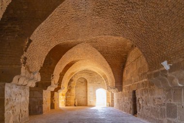 Uthina, Ben Arous, Tunus. Uthina arkeoloji sahasındaki Roma harabelerinin içinde.