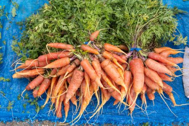 Kairouan, Tunus. Açık hava pazarında taze havuç satılıyor..