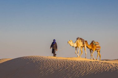 Ghlissia, Kebili, Tunus. 17 Mart 2023. Sahra Çölü 'ndeki kum tepelerinden geçen develere liderlik eden adam..