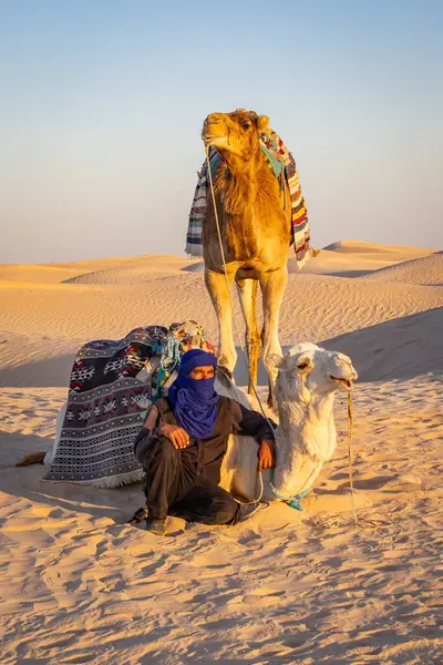 Ghlissia, Kebili, Tunus. 17 Mart 2023. Sahra Çölü 'ndeki kum tepelerinde develeri olan bir adam..