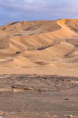 Orta Doğu, Suudi Arabistan, Tabuk Eyaleti, Tayma. Suudi Arabistan çölünde kum tepeleri.