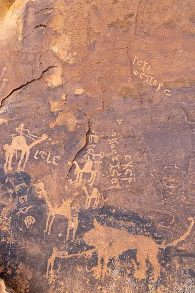 Middle East, Saudi Arabia, Hail Province, Jubbah. Ancient petroglyph of camels and other animals at the Jubbah rock art site at Ob Sinman Mountain.