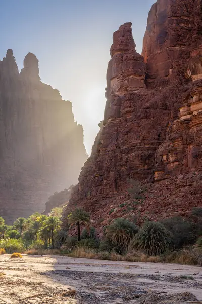 Middle East, Saudi Arabia,Tabuk, Wadi Al-Disha, Prince Mohammed bin Salman Natural Reserve. Wadi Al-Disha, known as the Grand Canyon of Saudi Arabia and the Valley of the Palms.