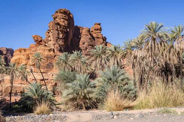 Middle East, Saudi Arabia,Tabuk, Wadi Al-Disha, Prince Mohammed bin Salman Natural Reserve. Wadi Al-Disha, known as the Grand Canyon of Saudi Arabia and the Valley of the Palms.