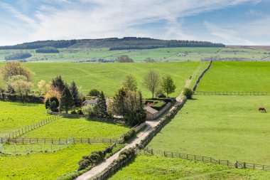 Middleham, Wensleydale, Kuzey Yorkshire, İngiltere, Büyük Britanya, Birleşik Krallık. Wensleydale kırsalında Middleham Kalesi harabelerinden görüldü..