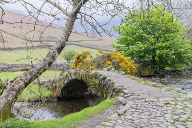 Wasdale Head, Seascale, Lake District Ulusal Parkı, Cumbria, İngiltere, Great Briton, İngiltere. Lake District Ulusal Parkı 'ndaki küçük bir derede taş kemer köprüsü..