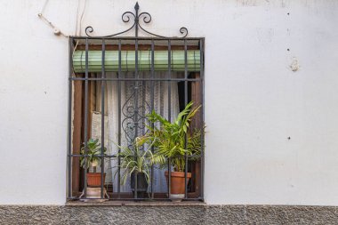 Albaicin, Granada, Granada ili, Endülüs, İspanya. Parmaklıklı bir pencerede saksı bitkileri.