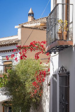 Albaicin, Granada, Granada ili, Endülüs, İspanya. İspanya 'da bir evde kırmızı çiçek açan sarmaşıklar.