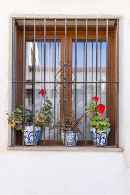 Albaicin, Granada, Granada ili, Endülüs, İspanya. Granada 'da parmaklıklı pencere ve saksı bitkileri.