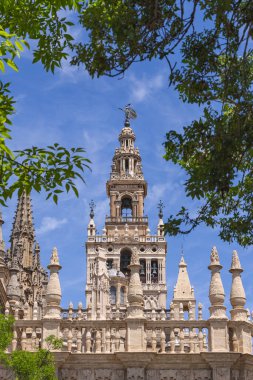 Casco Antiguo, Seville, Seville Eyaleti, Endülüs, İspanya. Sevilla Katedrali 'nin çan kulesi.