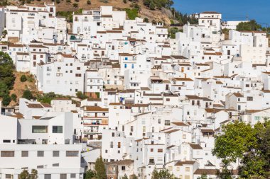 Casares, Malaga, Endülüs, İspanya. Endülüs 'teki Casares köyünün manzarası.