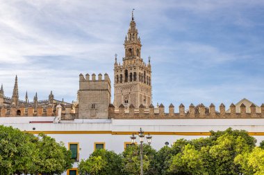Casco Antiguo, Seville, Seville Eyaleti, Endülüs, İspanya. Sevilla Katedrali 'nin çan kulesi.