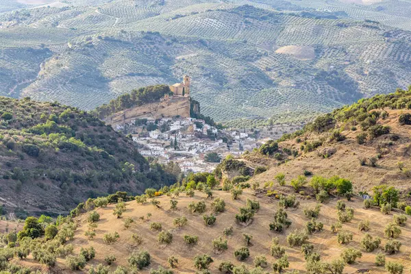 stock image Montefrio, Granada, Andalusia, Spain. Olive trees growing in Andalusia.