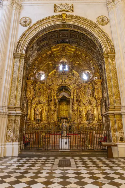 stock image Albaicin, Granada, Province of Granada, Andalusia, Spain. April 26, 2023. Ornate golden altar in the Granada Cathedral.