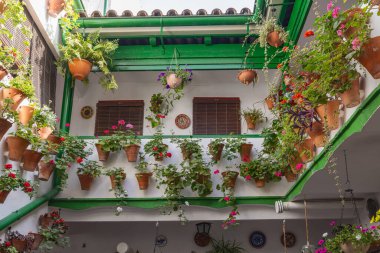 Centro Bölgesi, Cordoba, Cordoba Eyaleti, Endülüs, İspanya. 2 Mayıs 2023. Cordoba 'da bir evin avlusu..