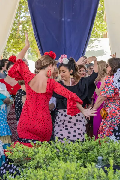 stock image Jerez de la Frontera, Cadiz, Andalusia, Spain. May 7, 2023. People dancing at the Jerez Horse Fair, known as the Feria del Caballo.