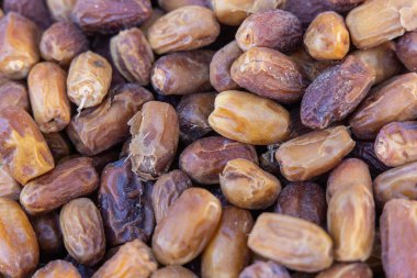 Al Wahat Al Baharia, Giza, Mısır. Batı Mısır 'daki Baharia Vahasında satış tarihleri.