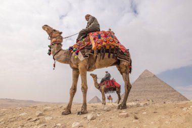 Giza Piramit Kompleksi, Al Ahram, Giza, Mısır. 22 Şubat 2023. Khafre Piramidinin önünde develi adamlar.
