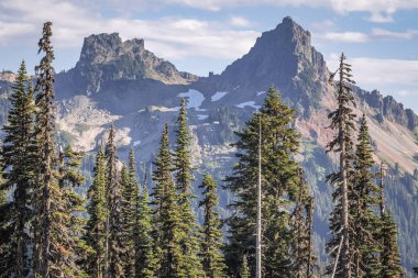Mount Rainier Ulusal Parkı, Washington, ABD. Rainier Dağı Ulusal Parkı 'ndaki Tatoosh Sıradağındaki Zirve ve ve Kale.