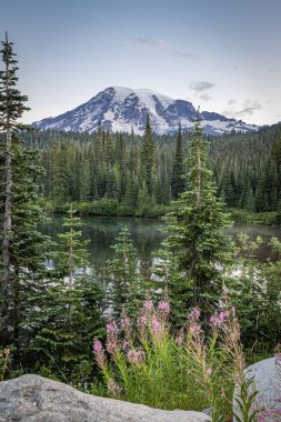 Mount Rainier National Park, Washington, United States. Mount Rainier seen from Reflection Lake, just after sunset. clipart