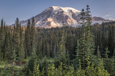 Mount Rainier Ulusal Parkı, Washington, ABD. Rainier Dağı 'nın cennet bölgesinden Rainier Dağı' nın öğleden sonra manzarası..