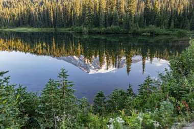 Mount Rainier Ulusal Parkı, Washington, ABD. Rainier Dağı 'nın, Rainier Dağı Ulusal Parkı' nın cennet bölgesindeki yansımasının öğleden sonra görüntüsü..