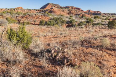 Caprock Canyons Eyalet Parkı, Quitaque, Teksas, ABD. Teksas kırsalında çöl manzarası.