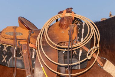 Childress, Teksas, Birleşik Devletler. At eyerinde sarmalanmış kementle.