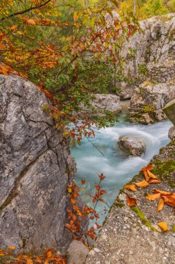 Valbona, Tropoje, Kukes, Arnavutluk. Sonbahar renkleri ve Valbona Vadisi Milli Parkı 'ndaki Valbonas Nehri.