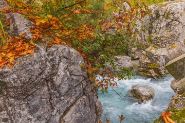 Valbona, Tropoje, Kukes, Arnavutluk. Sonbahar renkleri ve Valbona Vadisi Milli Parkı 'ndaki Valbonas Nehri.