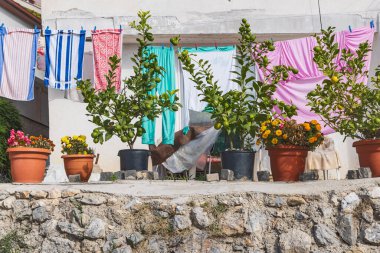 Ohri, Kuzey Makedonya. Ohri 'de bir evde limon ağaçları diktim..