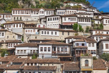 Berat, Arnavutluk. 17 Ekim 2024. Berat yamacındaki geleneksel binalar.